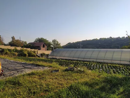 Čardak | 4zida.rs