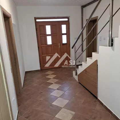 Zuzane Halupove | 4zida.rs