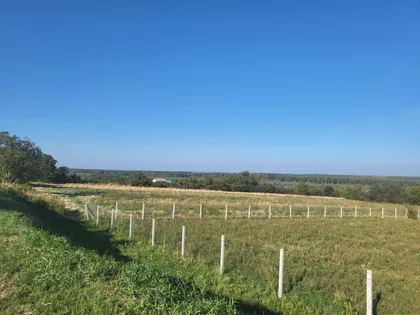 Lipovački Put | 4zida.rs