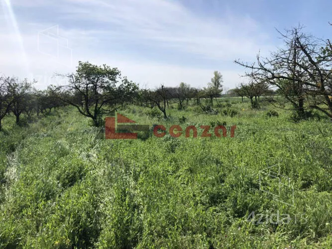 Poljoprivredno zemljište | 4zida