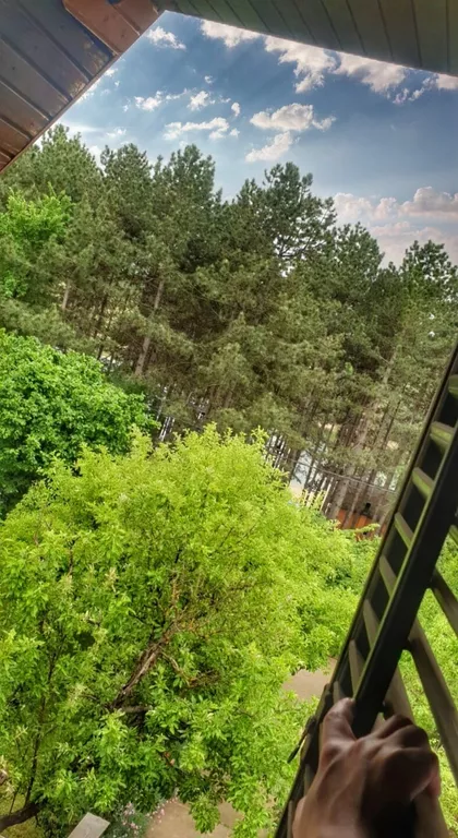 Dragiše Vitoševića | 4zida.rs