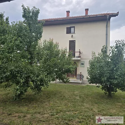 Markovačka | 4zida.rs