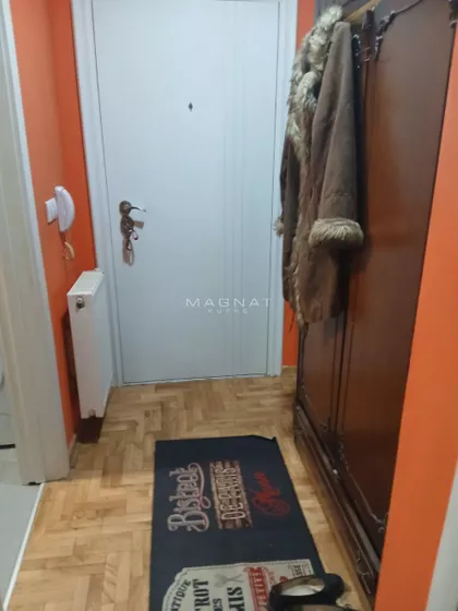 Miljana Miljanića | 4zida.rs