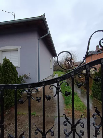 Petra Drapšina | 4zida.rs
