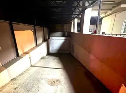 Šojka | 4zida.rs