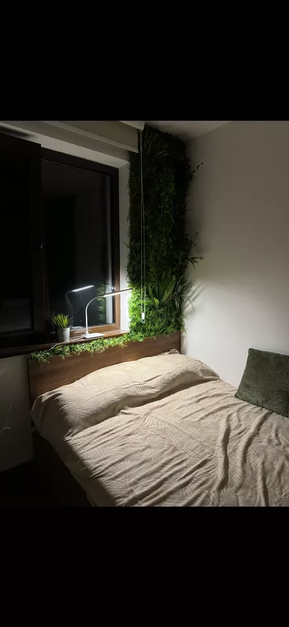 Bela Reka 6 | 4zida.rs