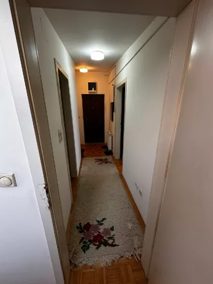Spasenije Cane Babović 1 | 4zida.rs