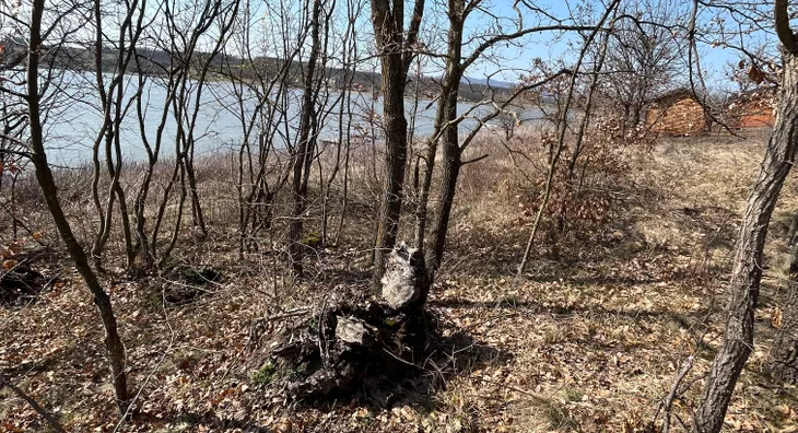 Poljoprivredno zemljište | 4zida