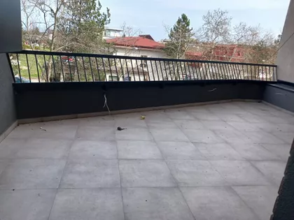 Zmaj Jovina | 4zida.rs
