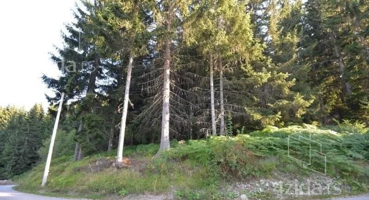 Plac | 4zida