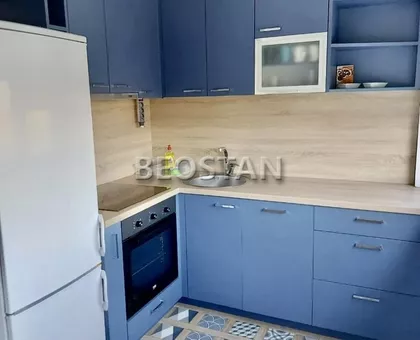 Dr Ivana Ribara | 4zida.rs