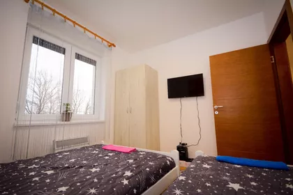 Nemanjina | 4zida.rs