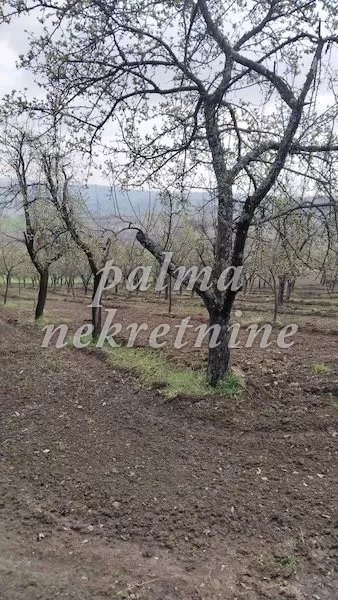 Gornja Sabanta | 4zida.rs