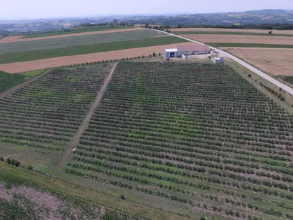 Karađorđeva bb | 4zida.rs