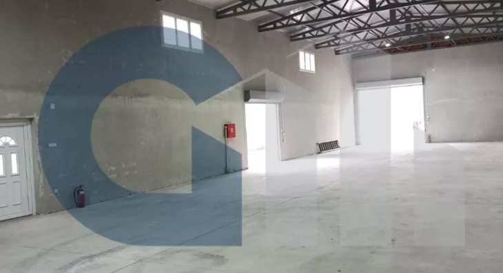 Lokal | 4zida