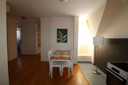 Novi Sad - Centar | 4zida.rs