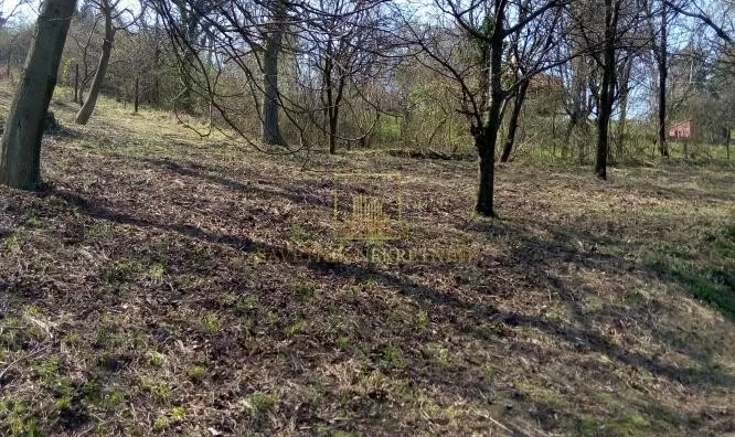 Plac | 4zida