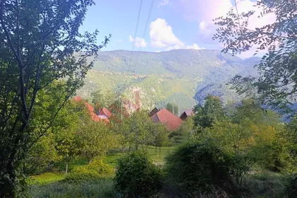 Planina Tara | 4zida.rs