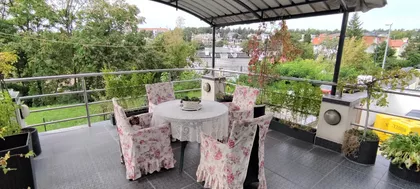 Miće Orlovića | 4zida.rs