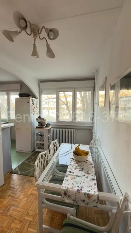 Dr Ivana Ribara | 4zida.rs