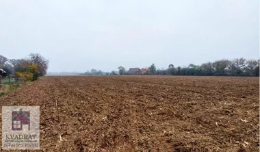 Veliko Polje