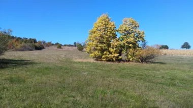 Bačevica | 4zida.rs