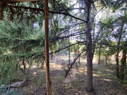 Alibegovac | 4zida.rs