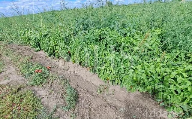 Poljoprivredno zemljište | 4zida