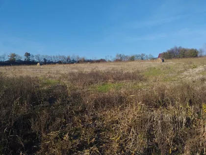 Blagojevica | 4zida.rs