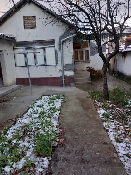 Pasjačka | 4zida.rs