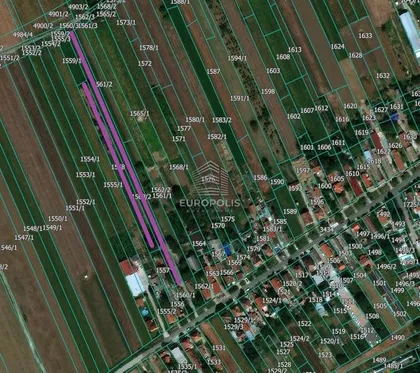 Janka Čmelika | 4zida.rs