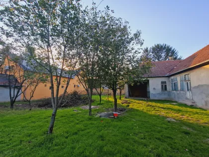 Lenjinova | 4zida.rs