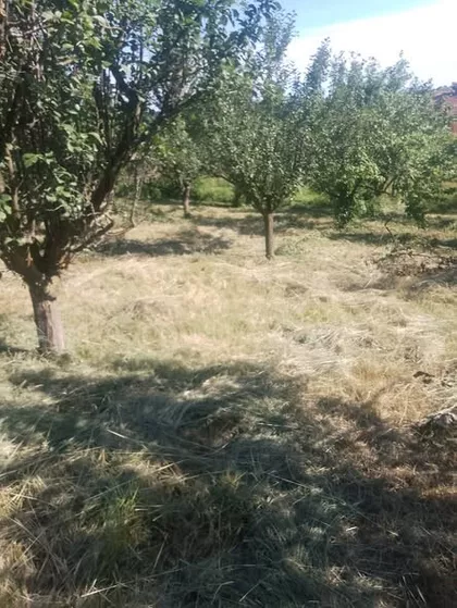 Kubršnička 24 | 4zida.rs