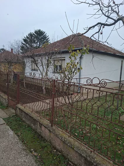 Dalmatinska 11 | 4zida.rs