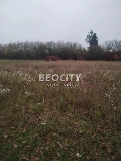 Zarka Bajica | 4zida.rs