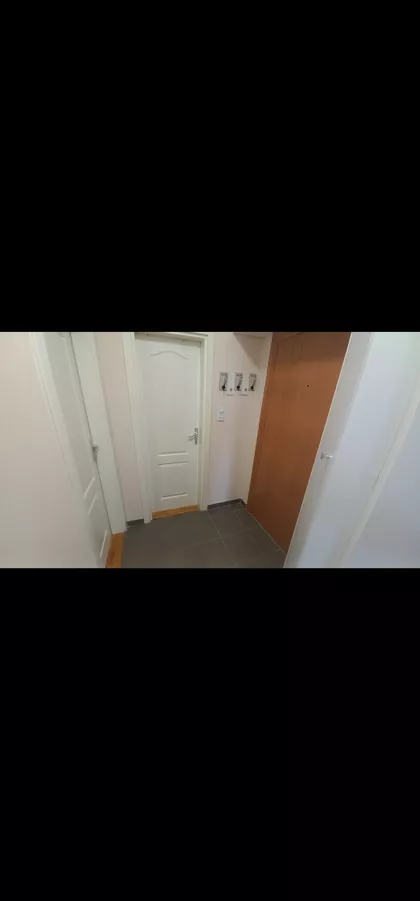 Žarko Zrenjanin | 4zida.rs