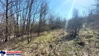 Krivovirska | 4zida.rs