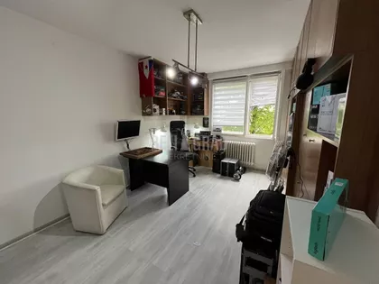 Darinke Radović | 4zida.rs