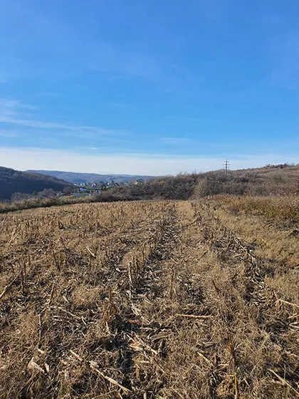 Put Za Markoviće | 4zida.rs