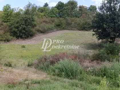 Ravanička | 4zida.rs