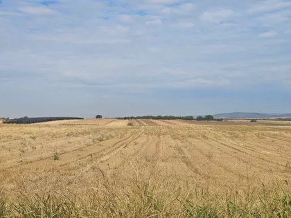 Gajevi | 4zida.rs