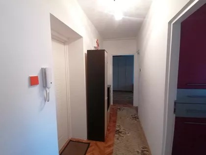 Radijalac | 4zida.rs