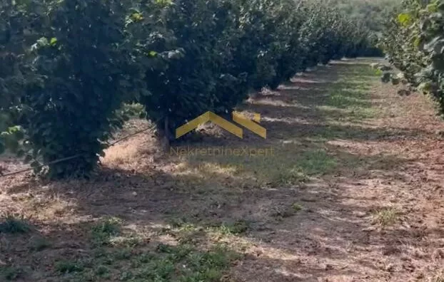 Poljoprivredno zemljište | 4zida