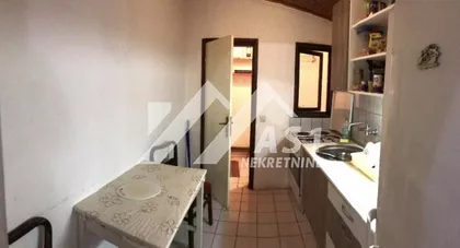 Petra Drapšina | 4zida.rs