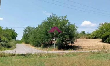 Popović