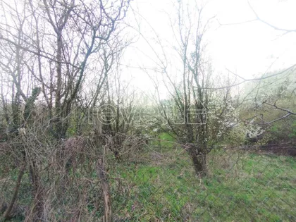 Velika Remeta | 4zida.rs