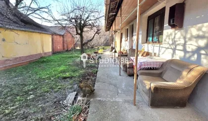 Zeleno Polje | 4zida.rs