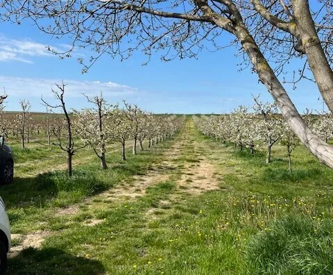 Poljoprivredno zemljište | 4zida