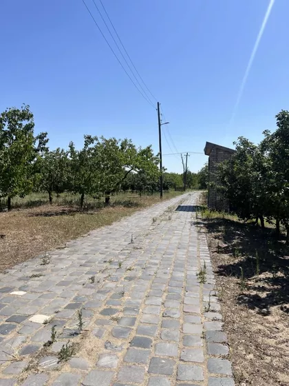 Hajdukovo | 4zida.rs