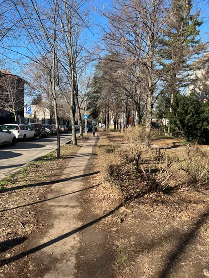 Jove Ilića | 4zida.rs